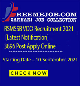 RSMSSB VDO Recruitment 2021 
